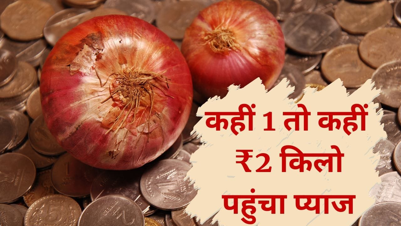 Onion price