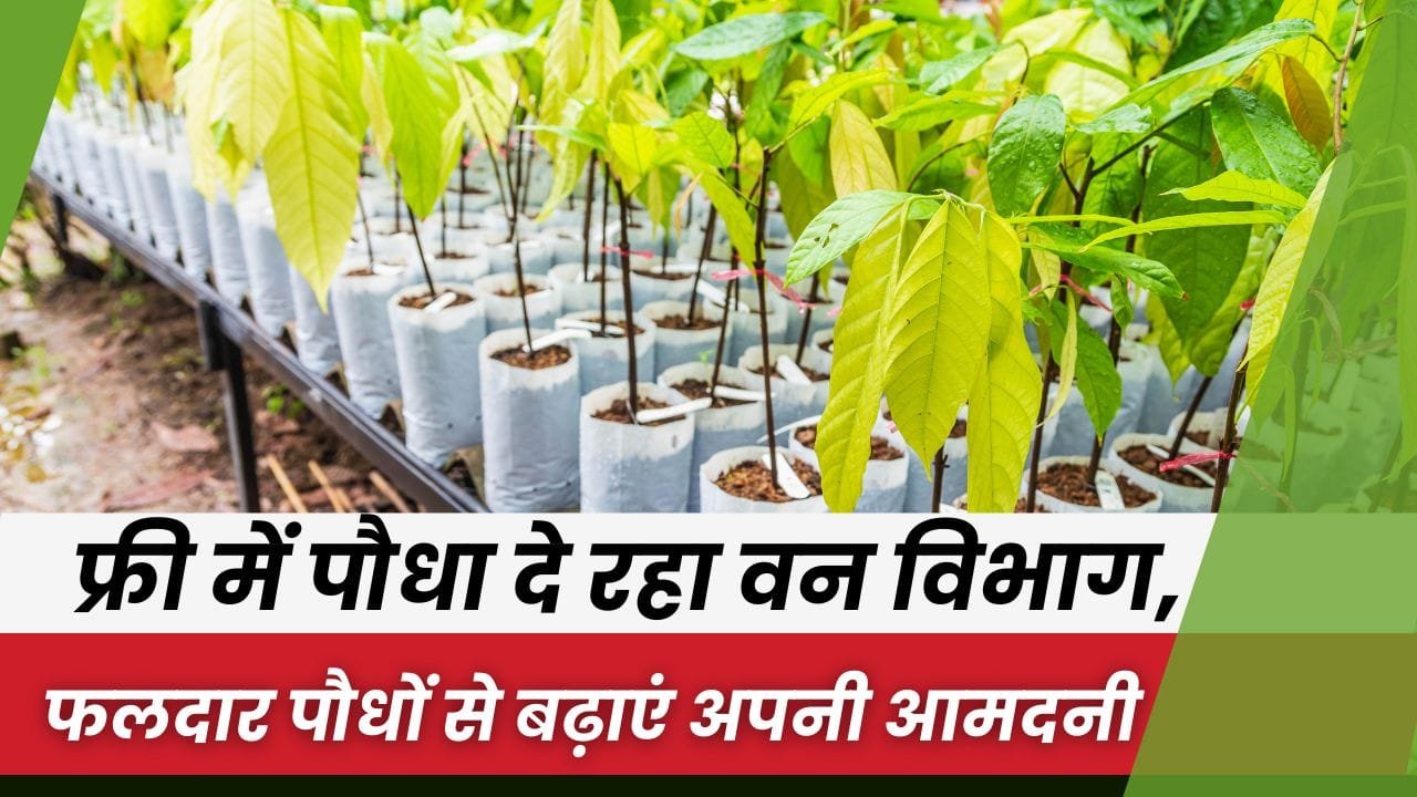 किसानों को फ्री में बांटे जाएंगे पेड़