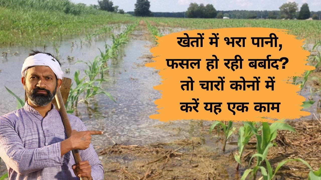 खेत में भरा पानी कैसे निकाले