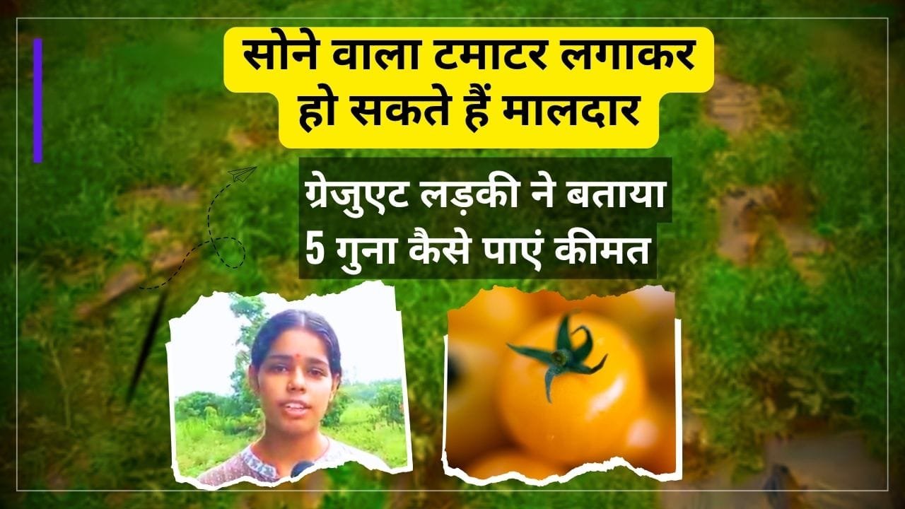 farmer's success story