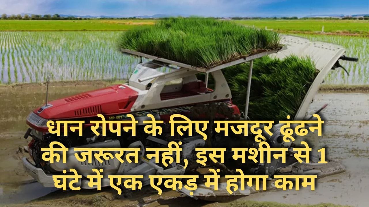 पैडी ट्रांसप्लांटर मशीन