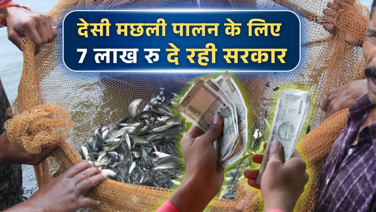 पशु एवं मत्स्य संसाधन विभाग