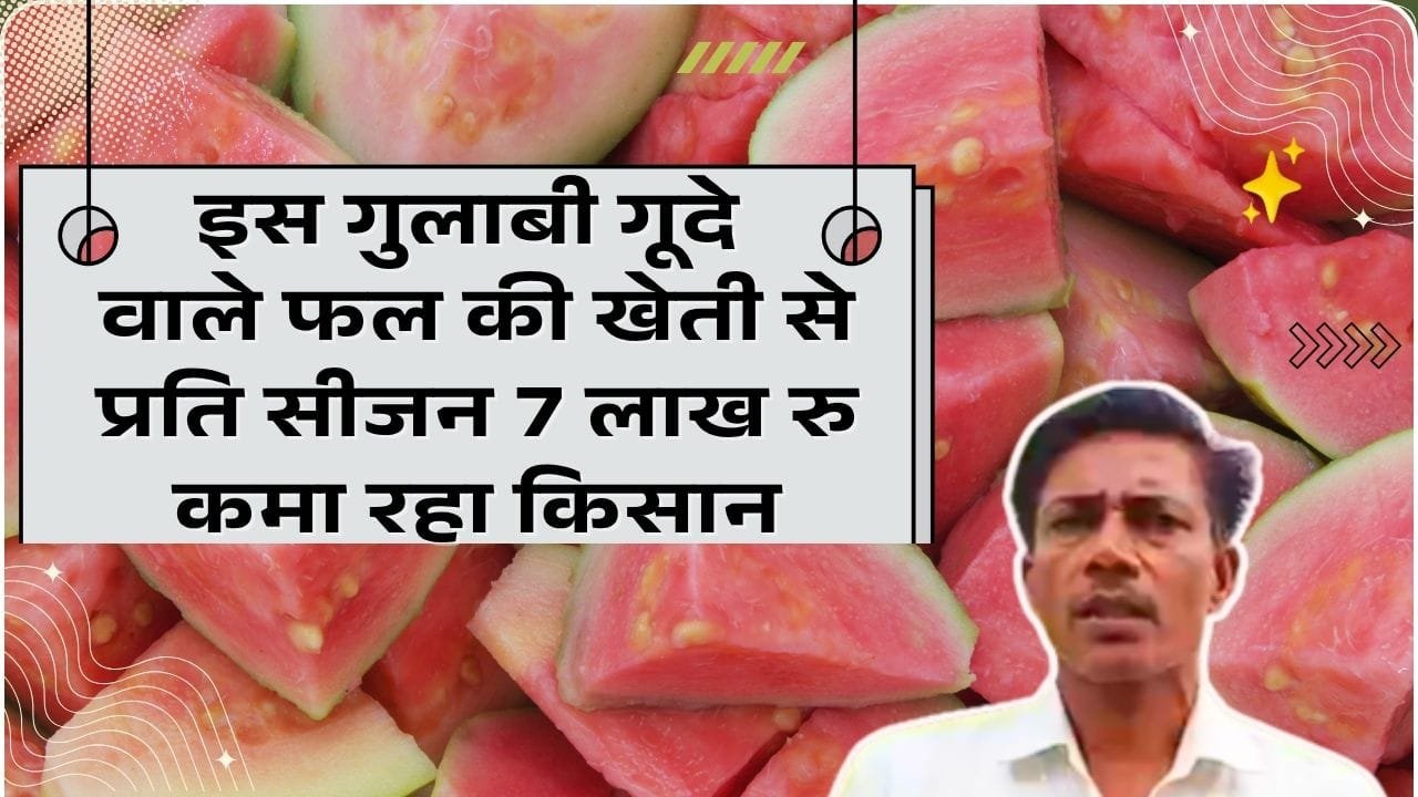 किसान की सफलता की कहानी