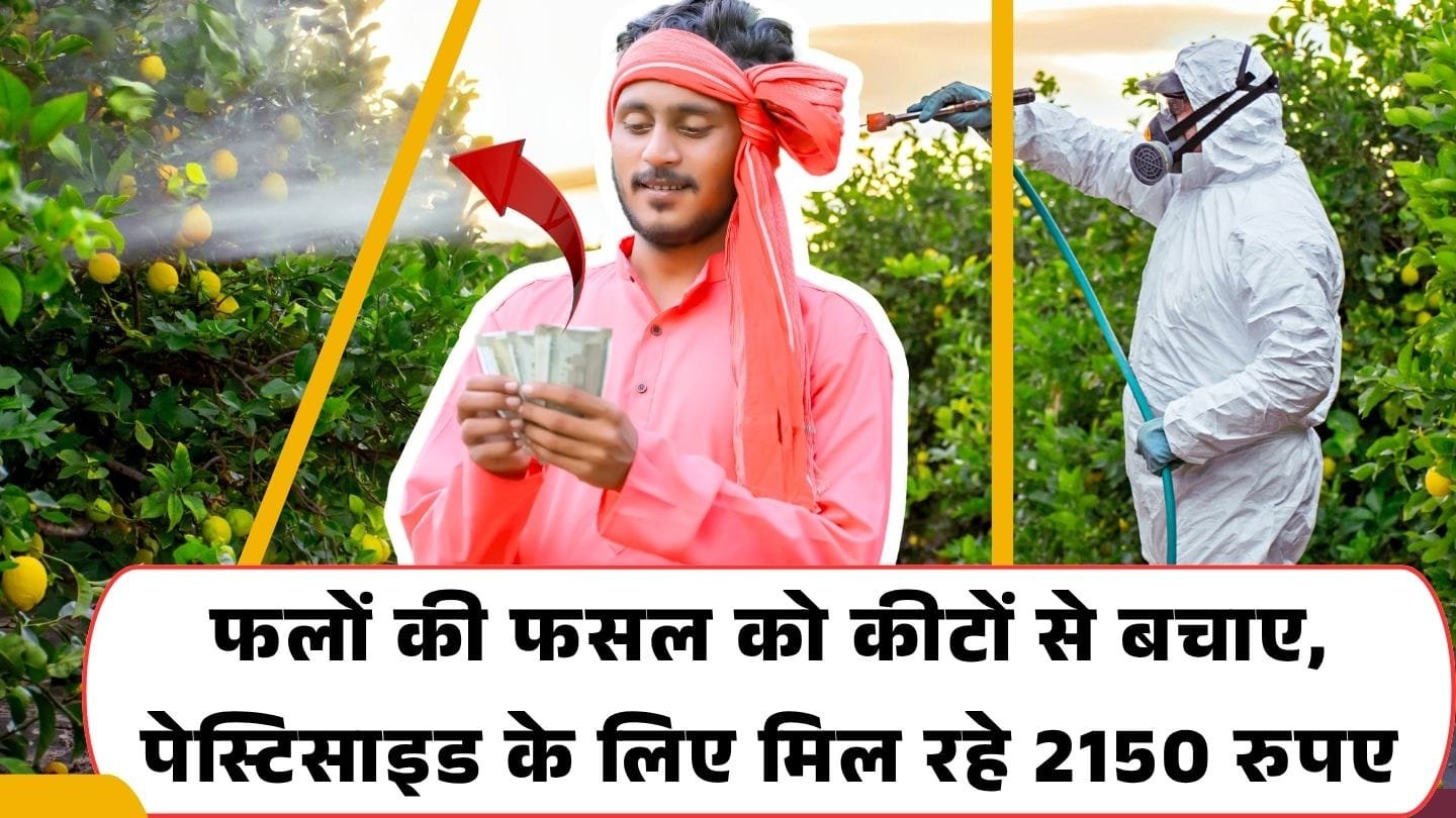 Subsidy on pesticides