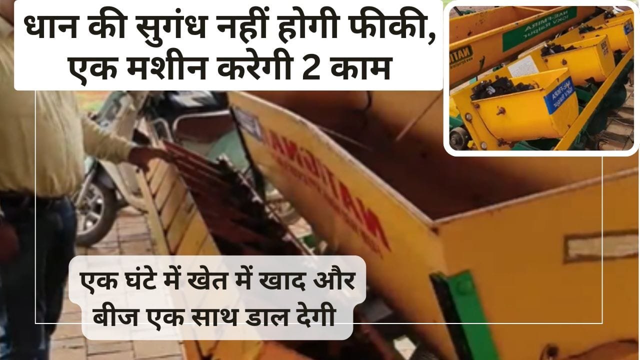 सुगंधित धान की खेती