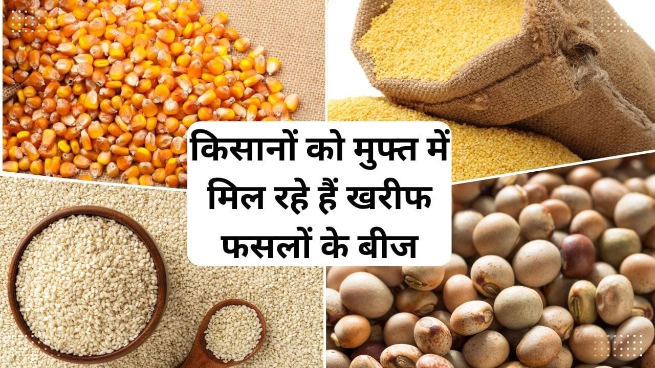 मुफ्त में खरीफ फसलों के बीज