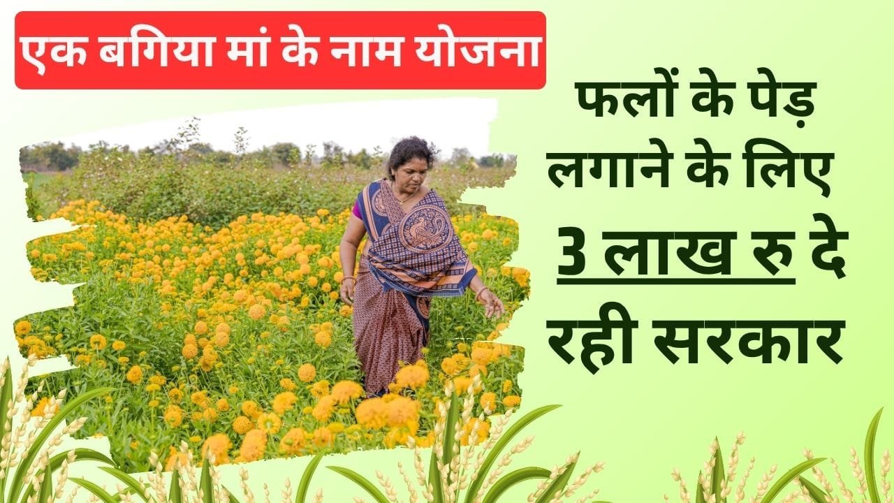 फलों की खेती के लिए आर्थिक मदद
