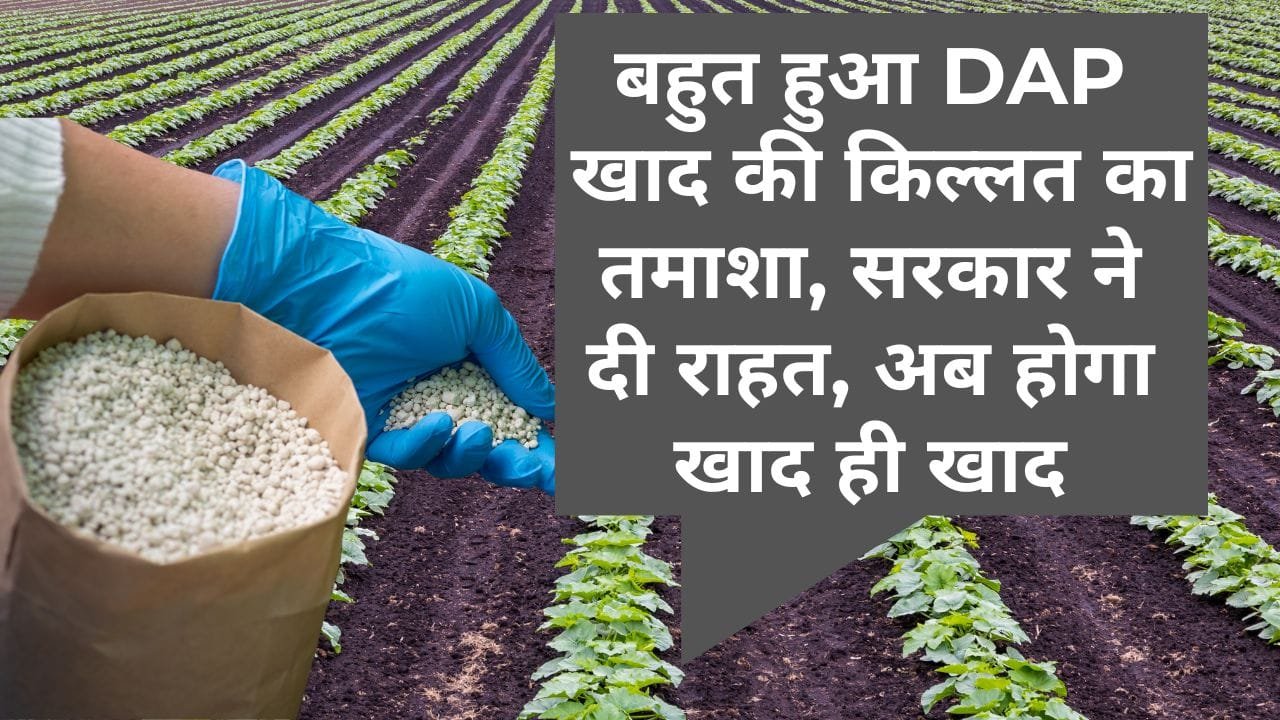 DAP खाद के जगह इस खाद से होगा काम