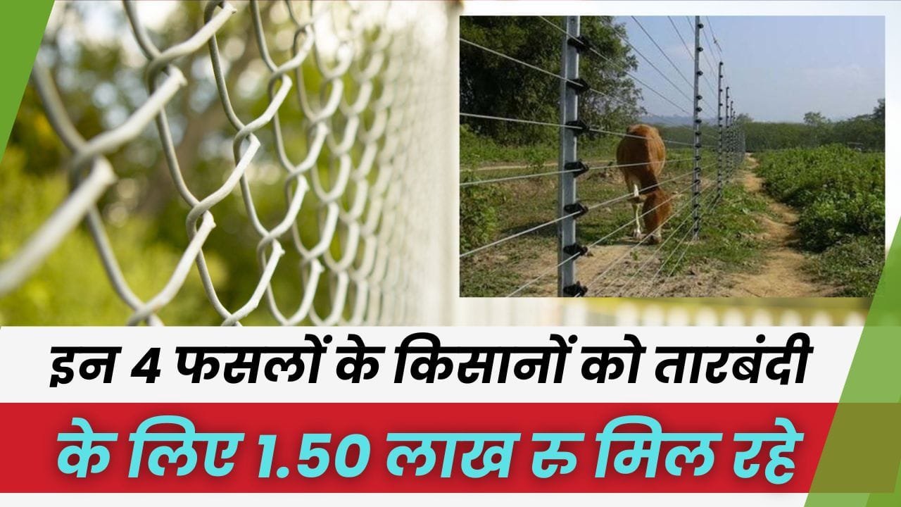 तारबंदी करने के लिए मध्य प्रदेश राज्य सरकार द्वारा किसानों को 1.50 लाख रुपए का अनुदान दिया जा रहा है