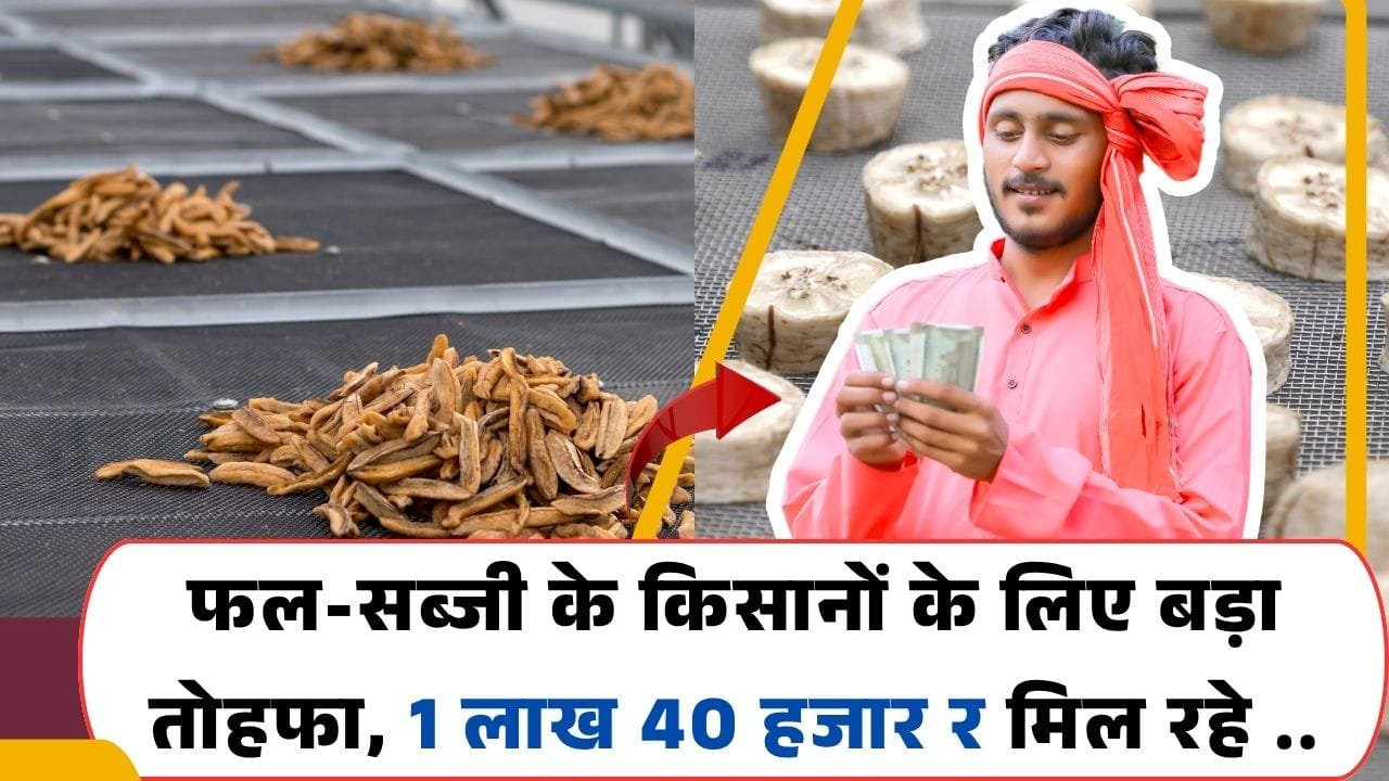 सोलर ड्रायर पर सब्सिडी