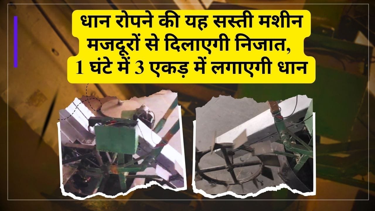 धान रोपने वाली मशीन