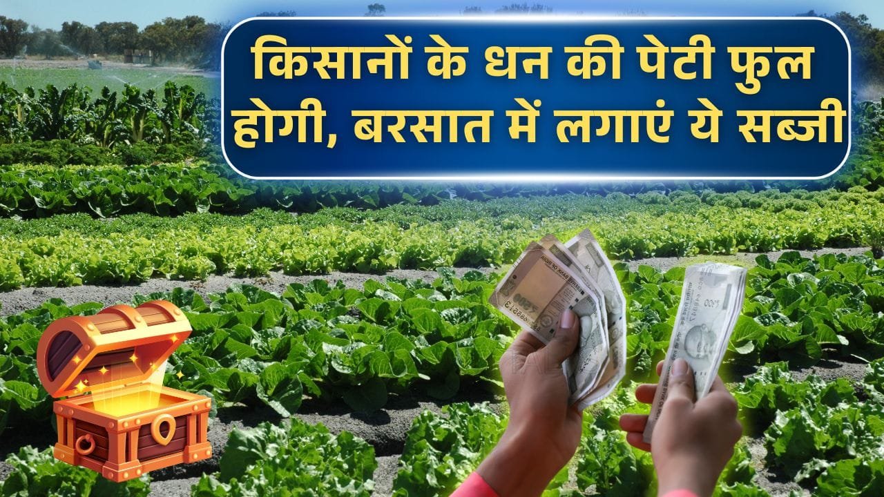 बरसात में बोई जाने वाली 4 सब्जियां