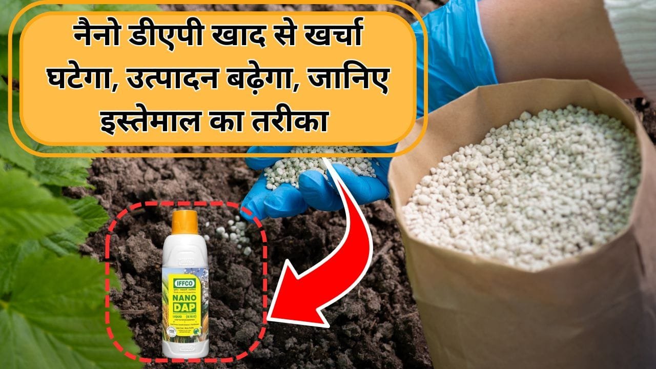 नैनो डीएपी का इस्तेमाल कैसे करें