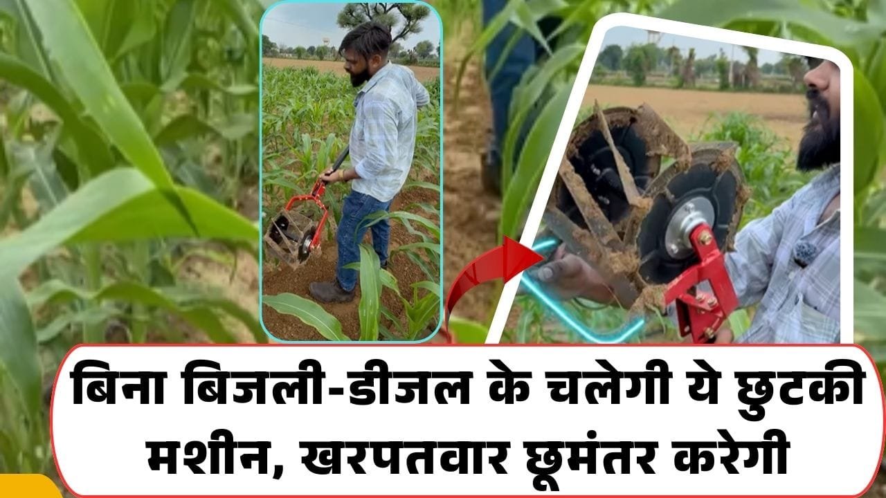 मिनी वीडर से खरपतवार निकाला जाता है