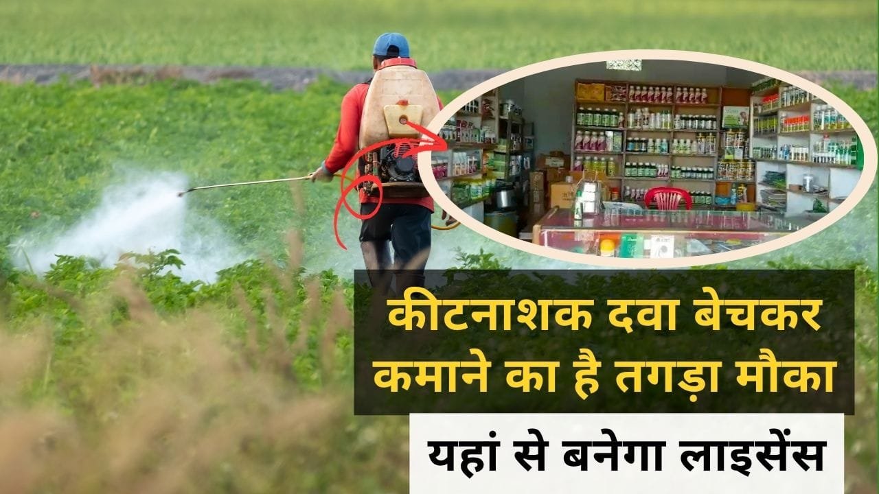कीटनाशक दवा की दुकान खोलने के लिए लाइसेंस