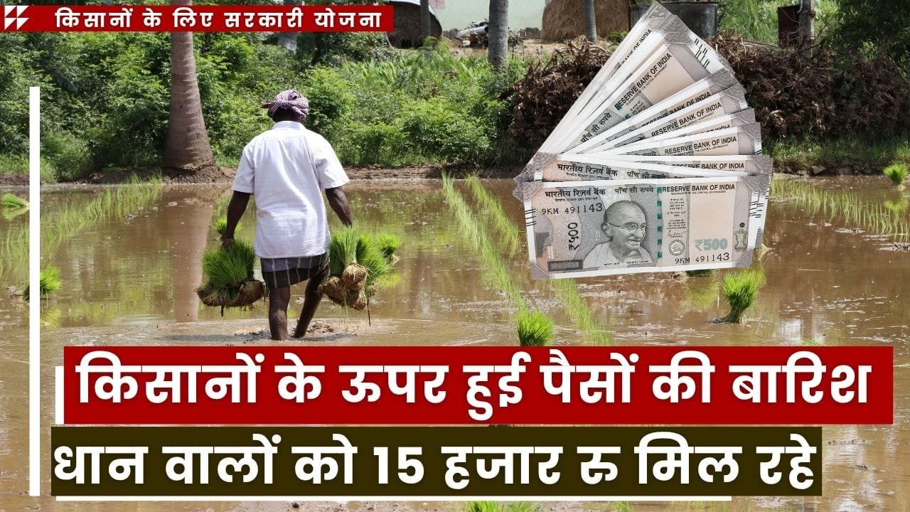 धान के किसानों को 15351 रुपए प्रति एकड़