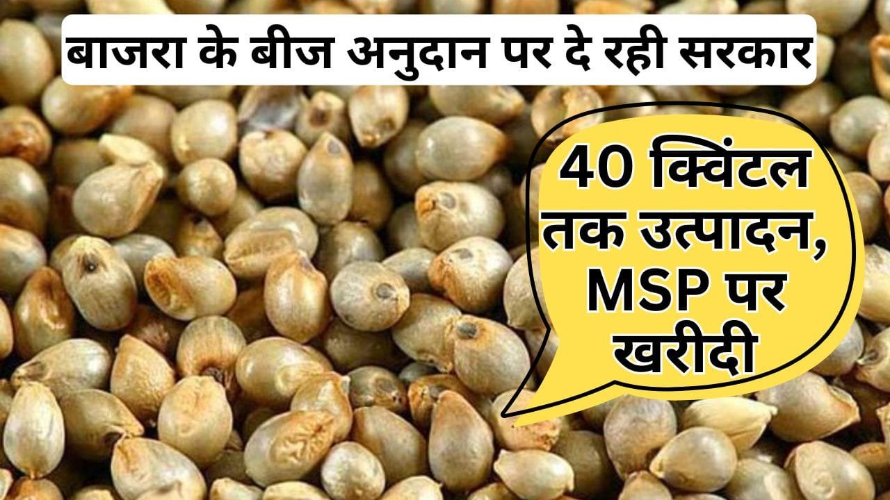 बीज किसानों को सब्सिडी पर दिए जा रहे हैं