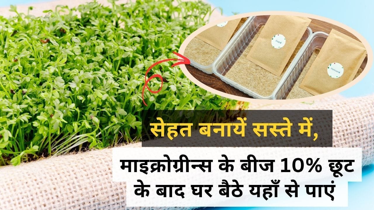 माइक्रोग्रीन सीड किट कहां से कितने में मिलेगा