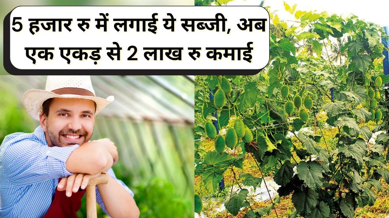 किसान की सफलता की कहानी