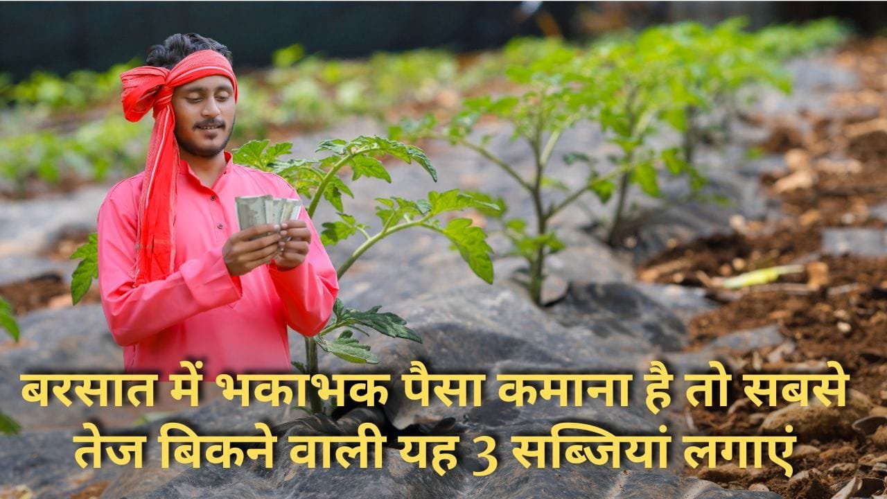 बरसात में सब्जियों की खेती