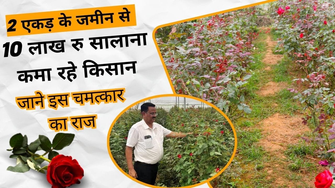 किसान की सफलता की कहानी