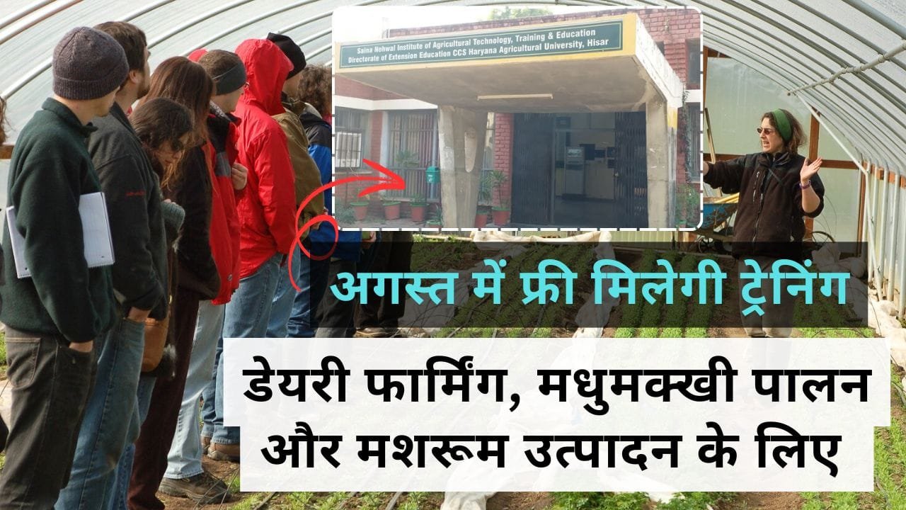 विभिन्न व्यवसाययों की मिल रही फ्री ट्रेनिंग