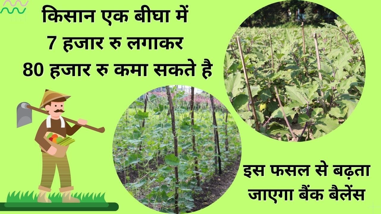 एक बीघा से ₹80000 की कमाई