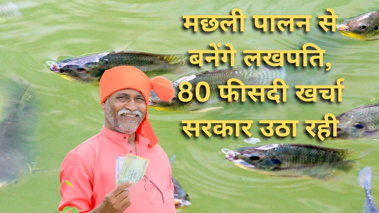 मछली पालन के लिए 80 फ़ीसदी अनुदान