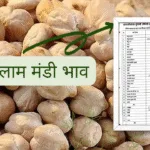 Ratlam mandi