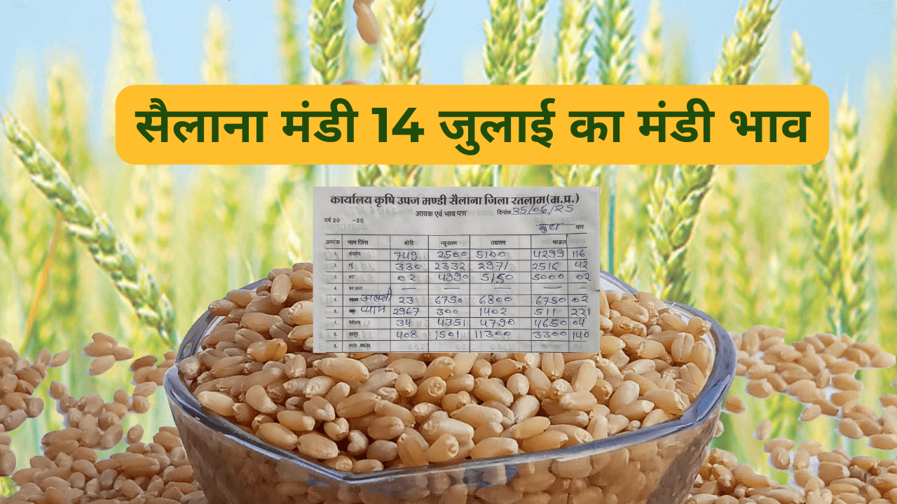 सैलाना मंडी