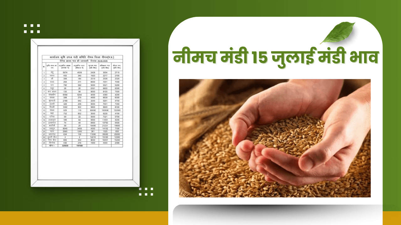 नीमच मंडी