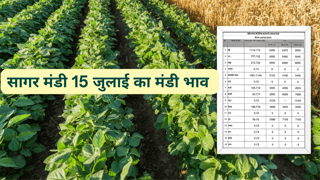 सागर मंडी