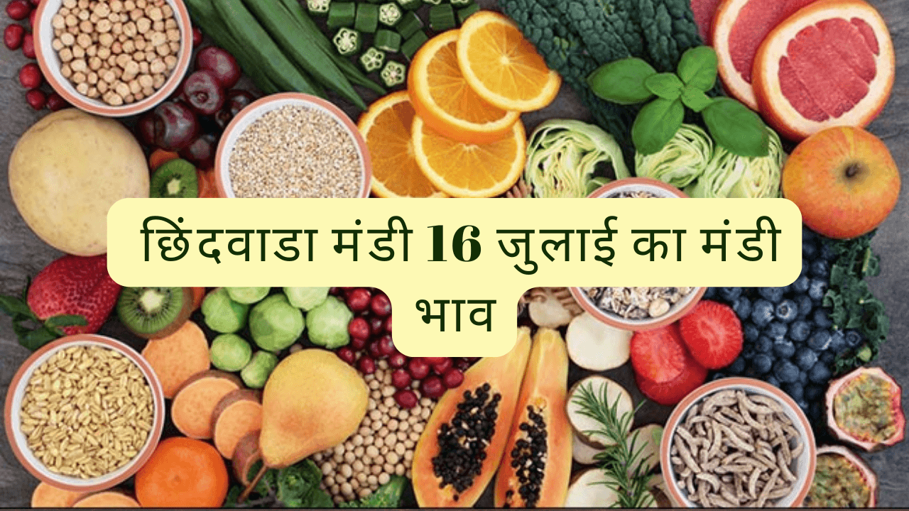 छिंदवाडा मंडी