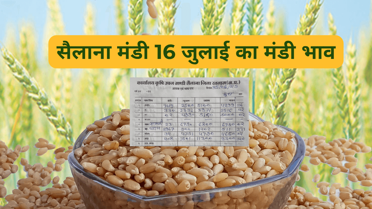 सैलाना मंडी