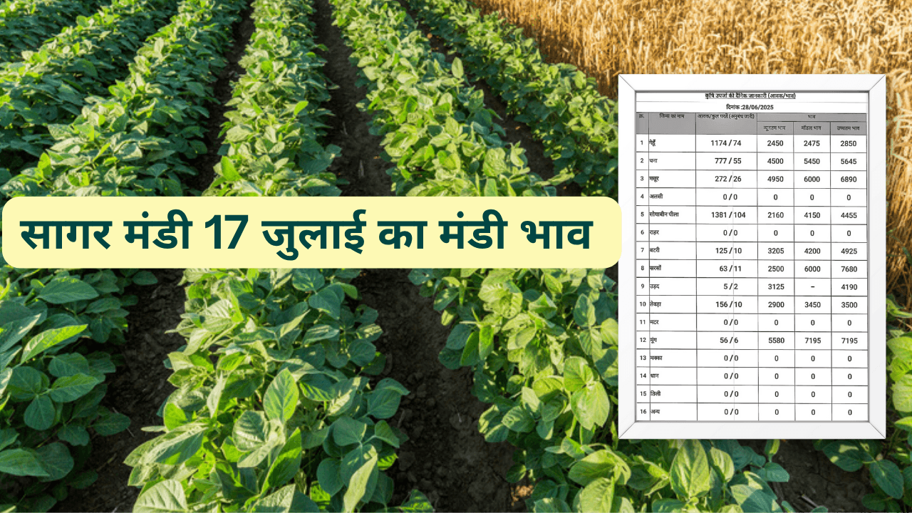 सागर मंडी