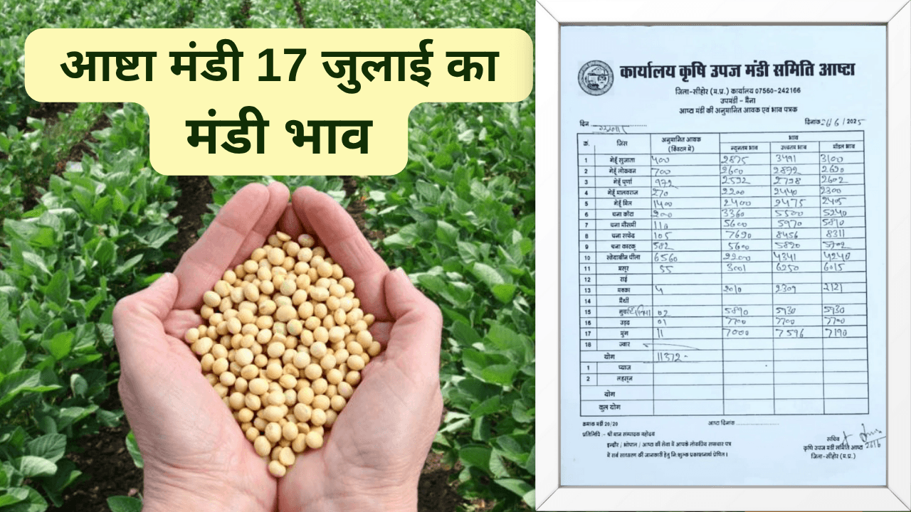 आष्टा मंडी