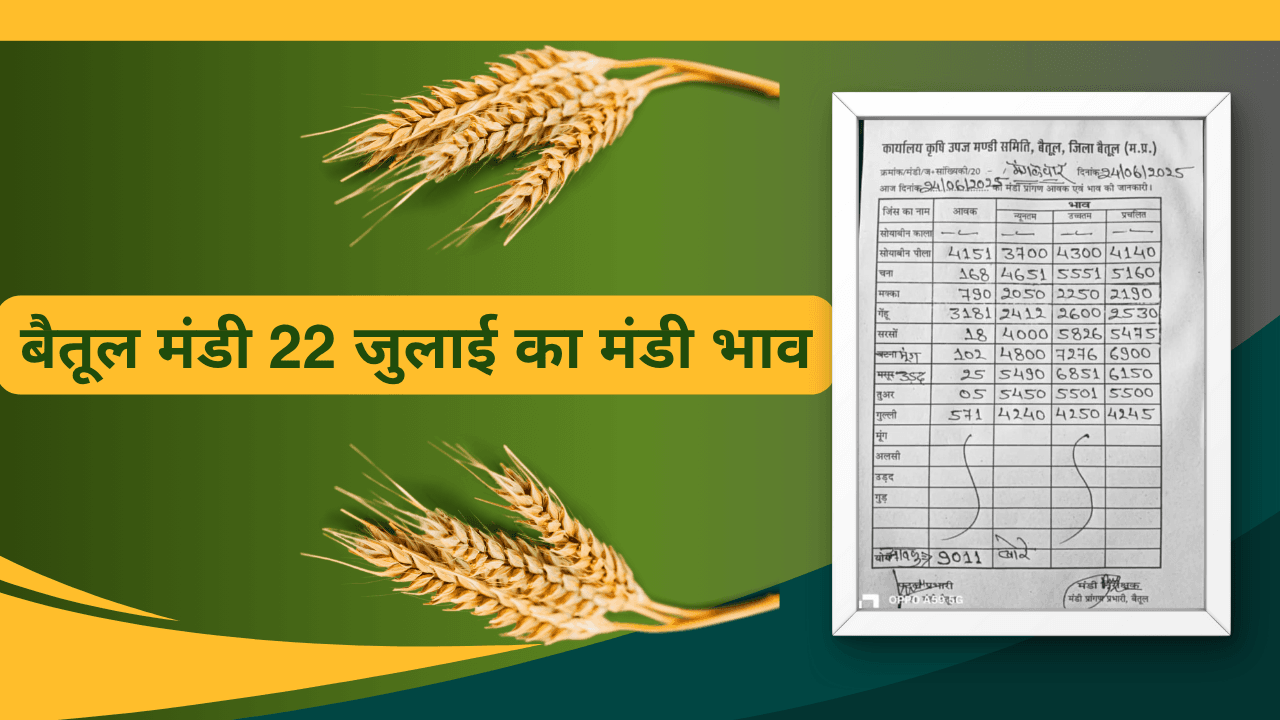 बैतूल मंडी