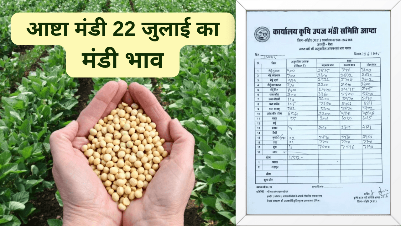 आष्टा मंडी