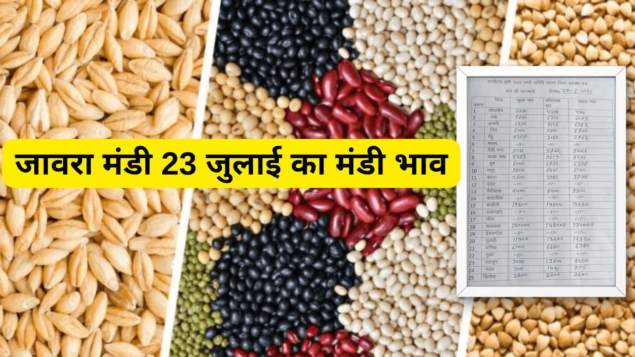 जावरा मंडी