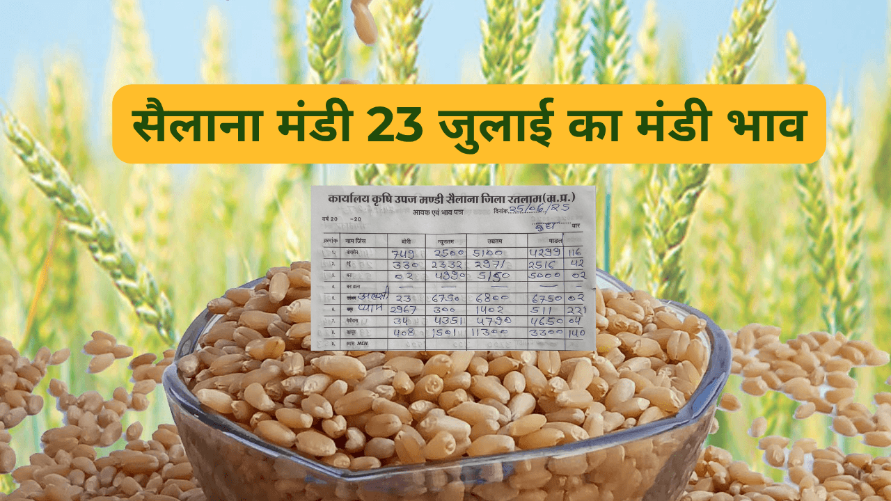 सैलाना मंडी