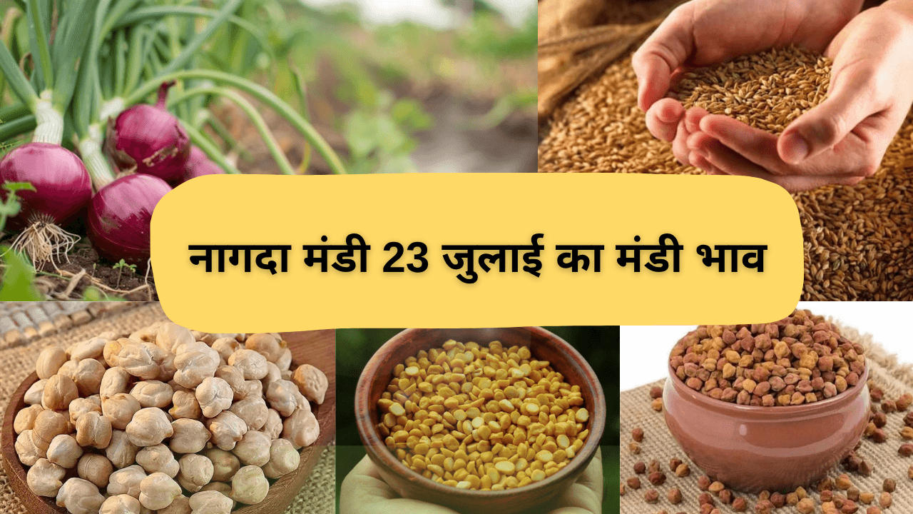 नागदा मंडी