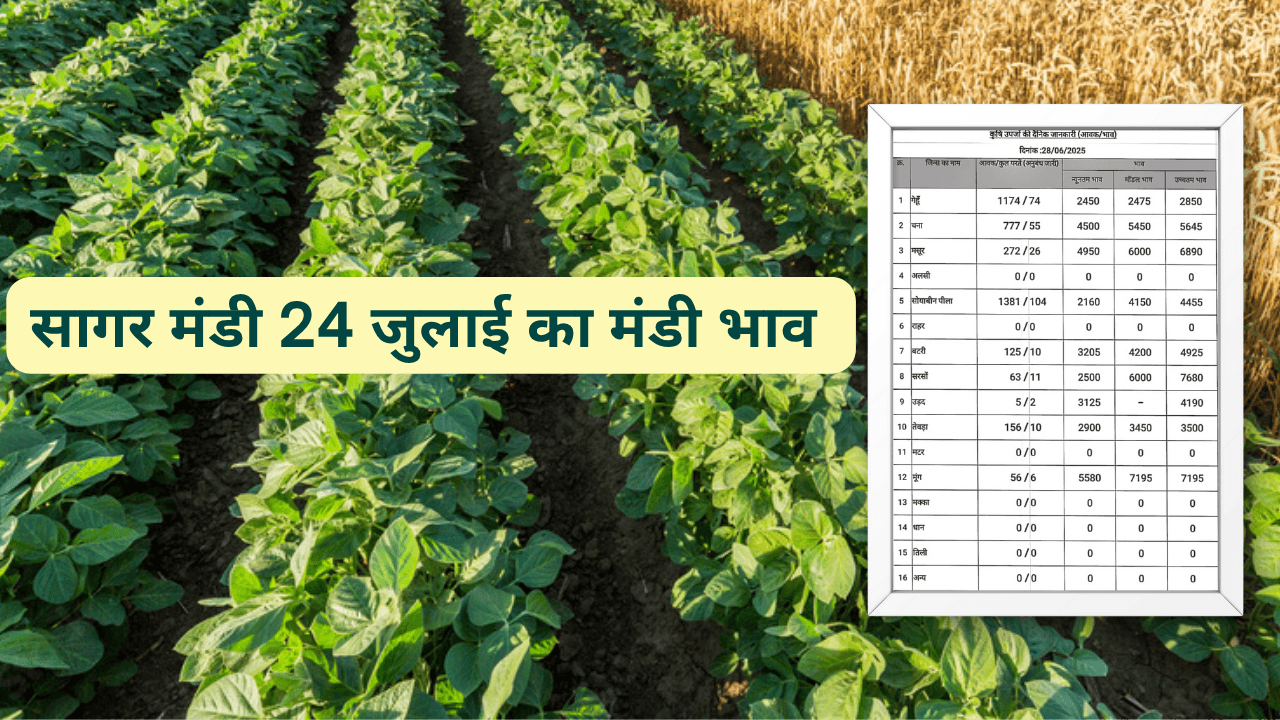 सागर मंडी