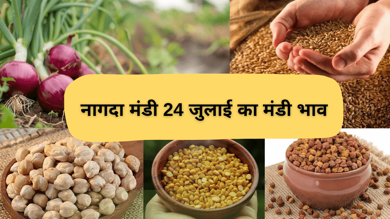 नागदा मंडी