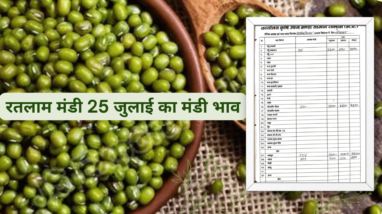 रतलाम मंडी