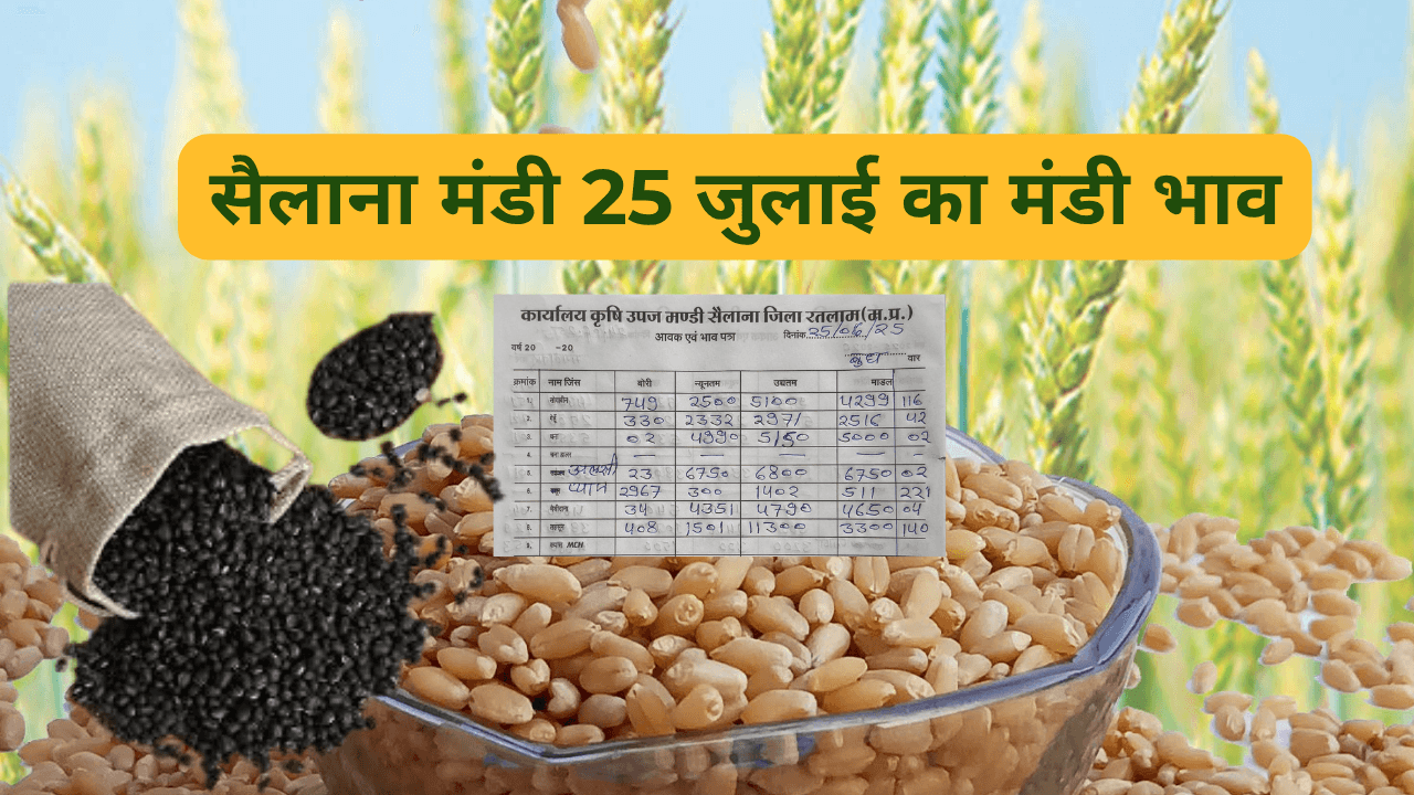 सैलाना मंडी