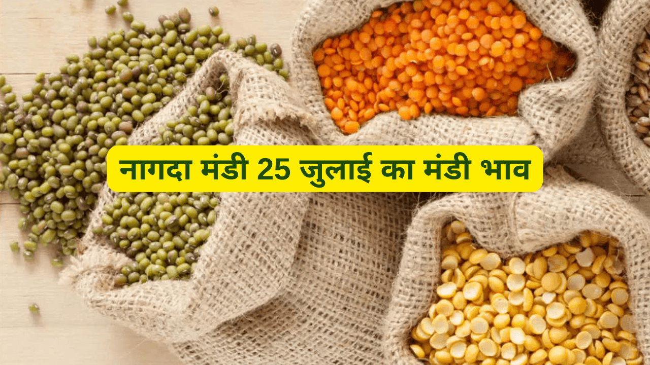 नागदा मंडी