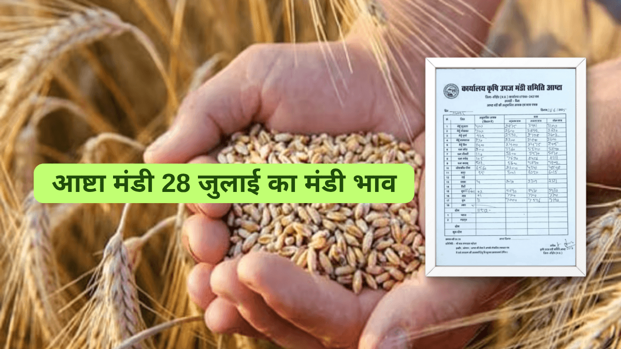 आष्टा मंडी