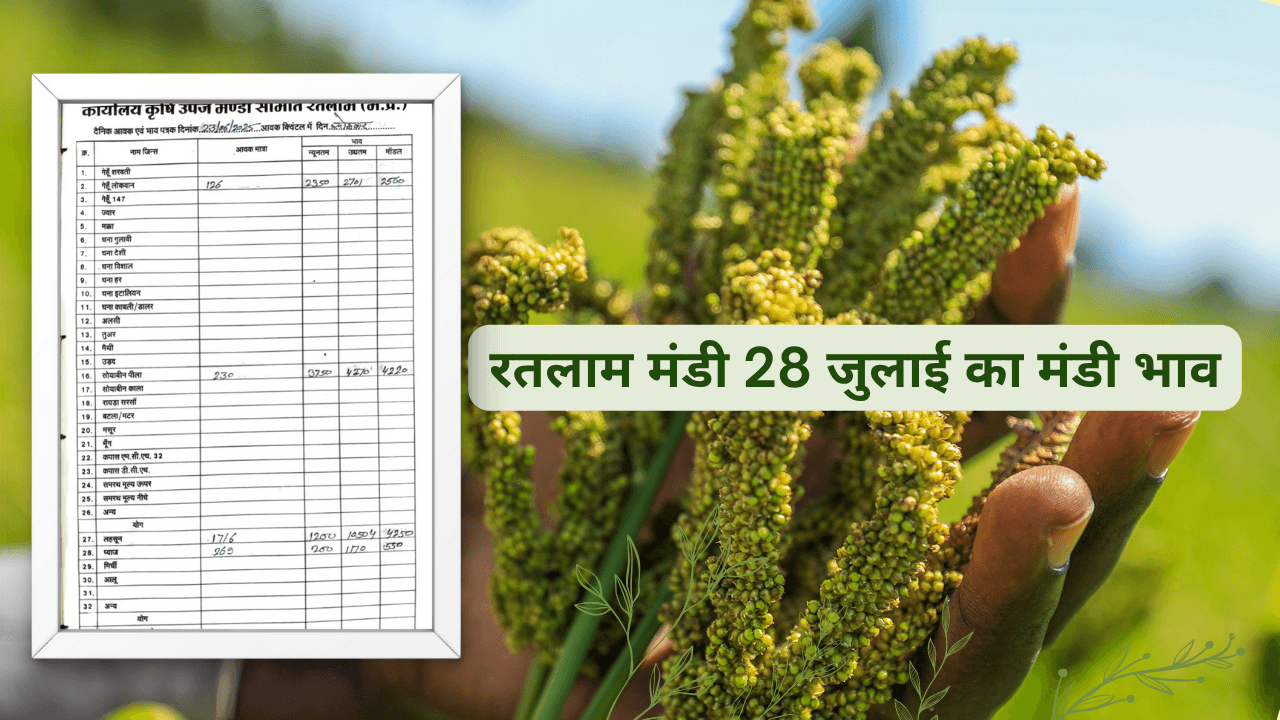 रतलाम मंडी
