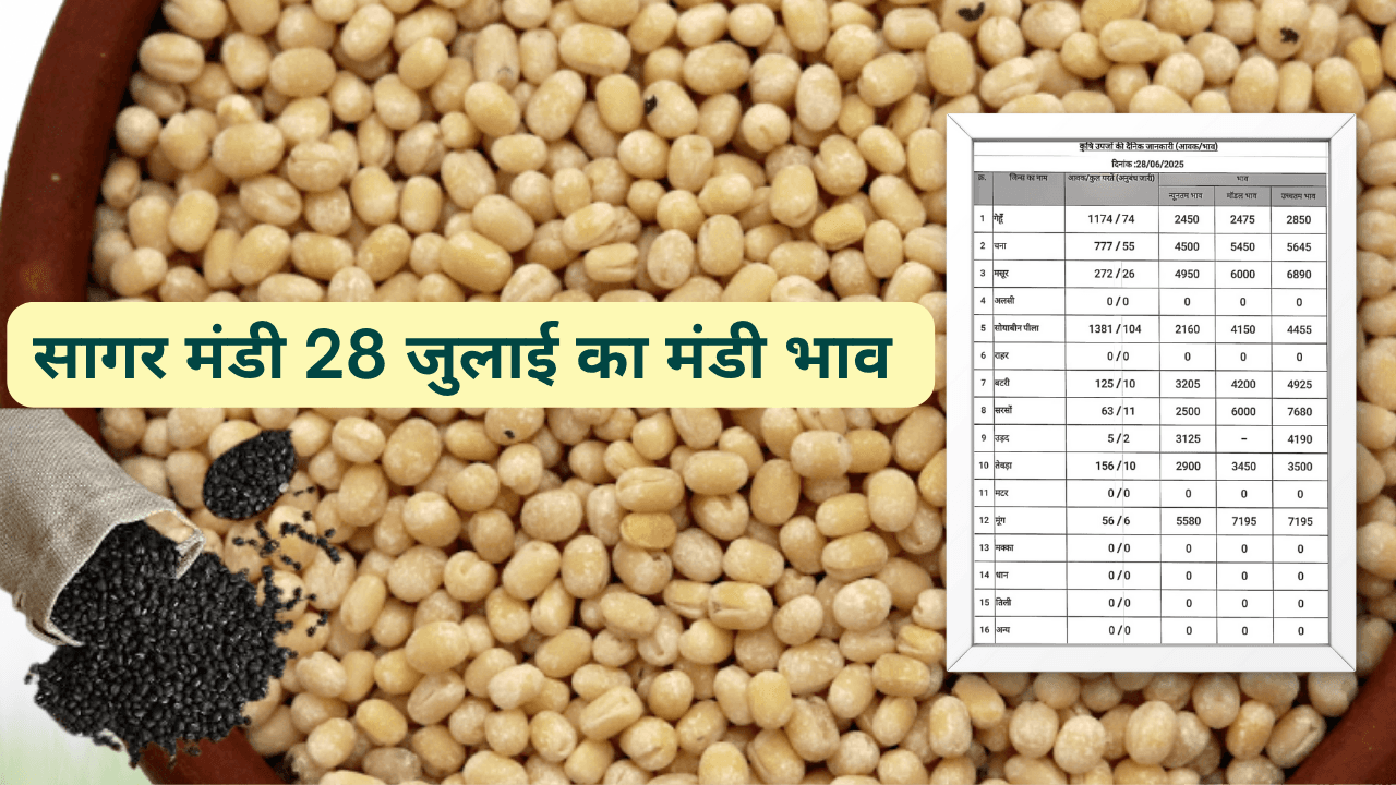 सागर मंडी