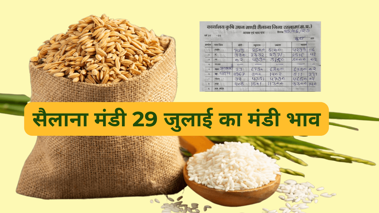 सैलाना मंडी